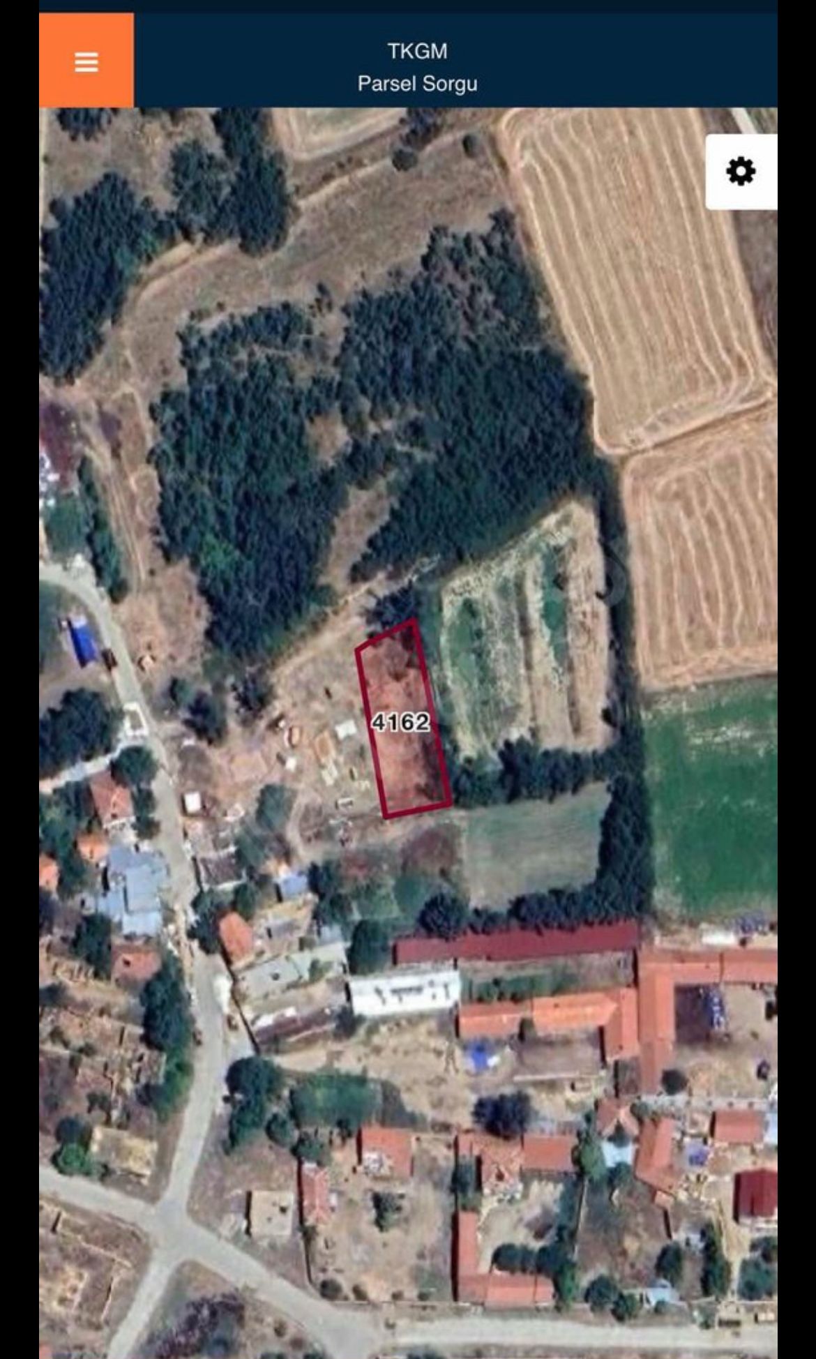 Fotoğraf